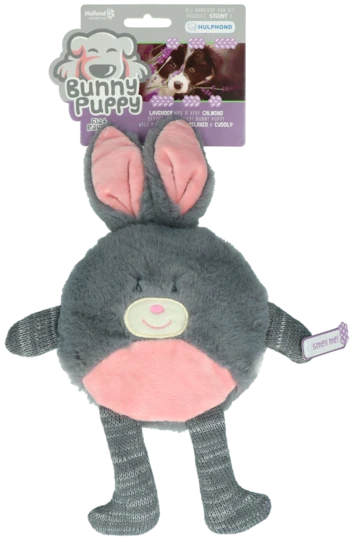 Bunny_puppy_flat_rabbit