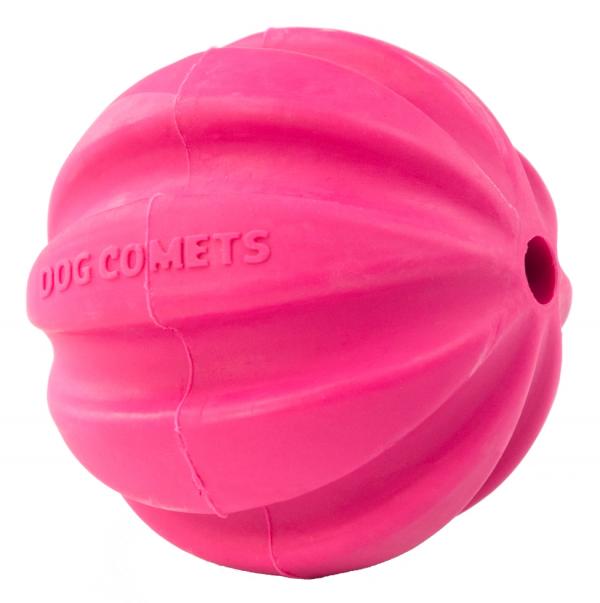 Dog_Comets_Ball_Halley_Roze