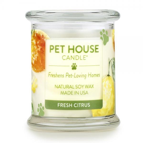 Renske_Pet_House_Candle___Bamboo_Watermint_1