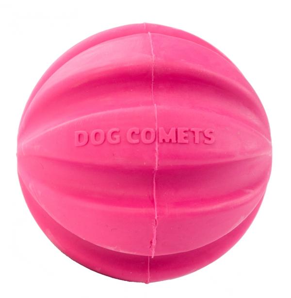 Dog_Comets_Ball_Halley_Roze_1