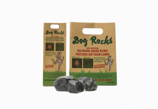 Dog_rocks___geen_gele_plekken_in_het_gras_5