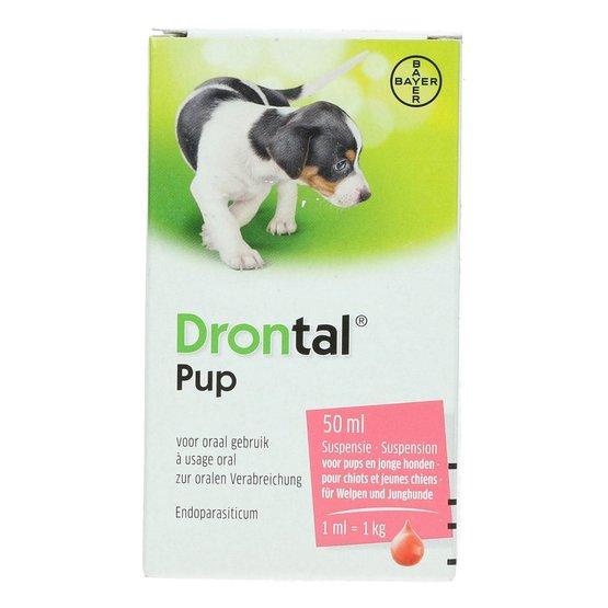 Dontal_pup