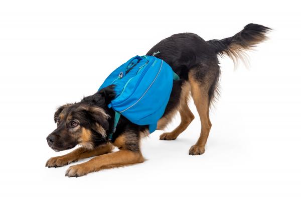 Ruffwear_Approach__Dog_Backpack_5